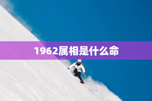 1962属相是什么命