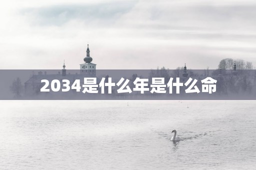 2034是什么年是什么命