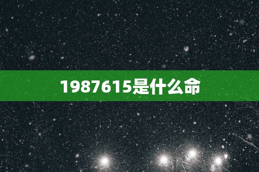 1987615是什么命