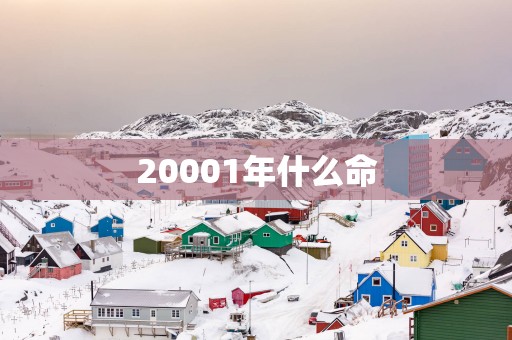 20001年什么命