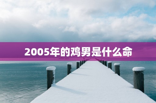 2005年的鸡男是什么命