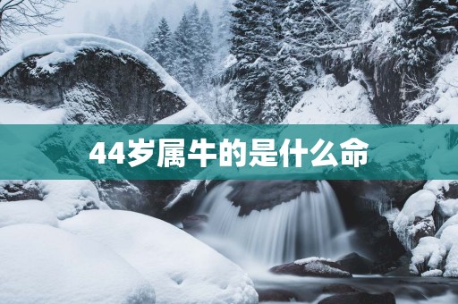 44岁属牛的是什么命