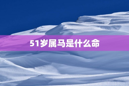 51岁属马是什么命