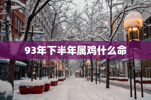 93年下半年属鸡什么命