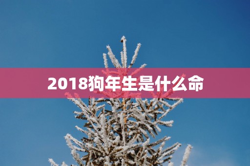 2018狗年生是什么命