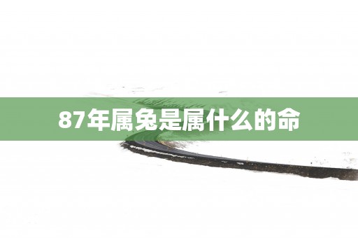 87年属兔是属什么的命