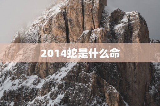 2014蛇是什么命