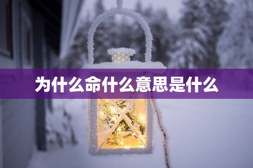 为什么命什么意思是什么