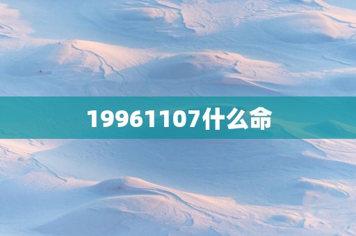 19961107什么命