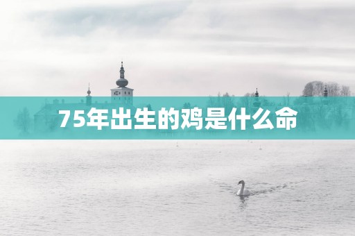 75年出生的鸡是什么命