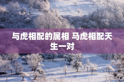与虎相配的属相 马虎相配天生一对