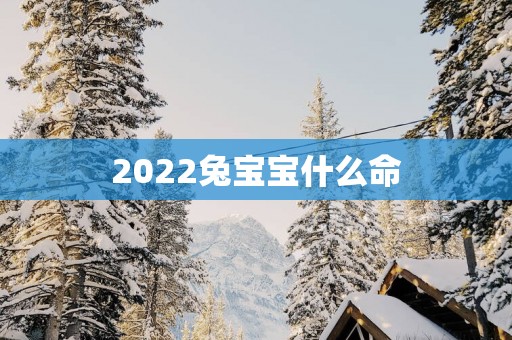2025兔宝宝什么命