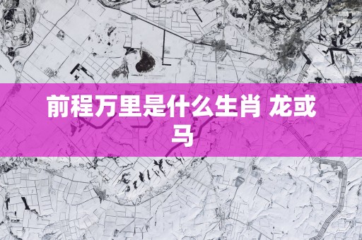 前程万里是什么生肖 龙或马