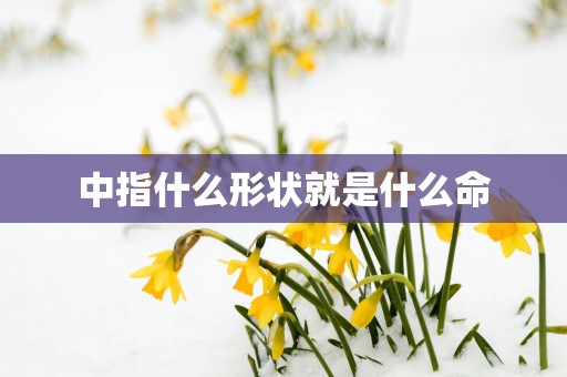 中指什么形状就是什么命