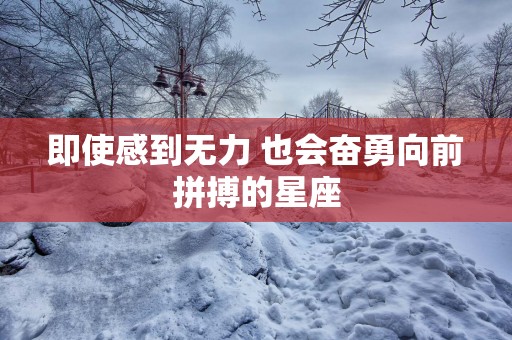 即使感到无力 也会奋勇向前拼搏的星座