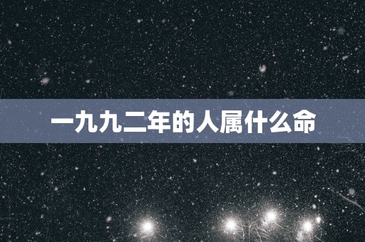 一九九二年的人属什么命