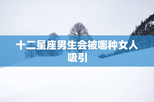 十二星座男生会被哪种女人吸引