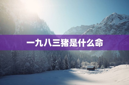 一九八三猪是什么命