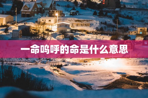 一命呜呼的命是什么意思