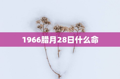 1966腊月28日什么命