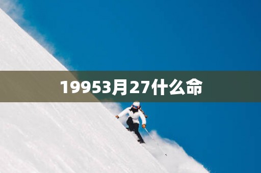 19953月27什么命