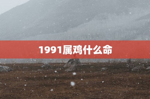 1991属鸡什么命