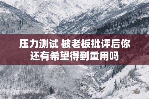 压力测试 被老板批评后你还有希望得到重用吗