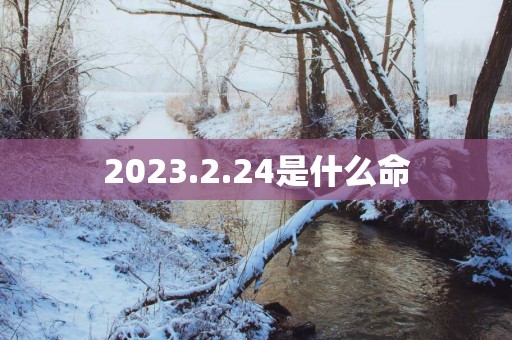 2025.2.24是什么命