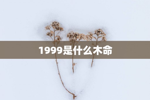 1999是什么木命