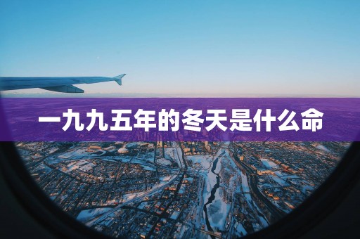 一九九五年的冬天是什么命