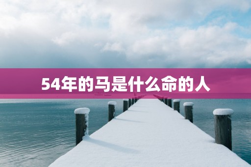 54年的马是什么命的人