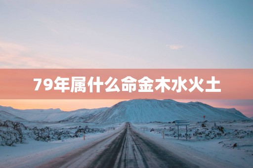 79年属什么命金木水火土