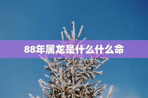 88年属龙是什么什么命