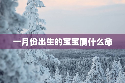 一月份出生的宝宝属什么命
