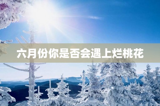 六月份你是否会遇上烂桃花