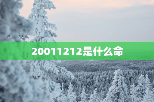 20011212是什么命
