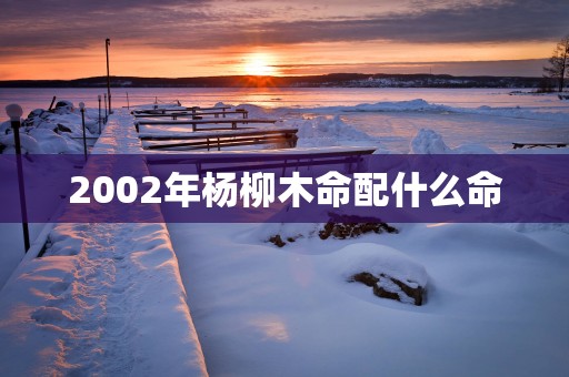 2002年杨柳木命配什么命