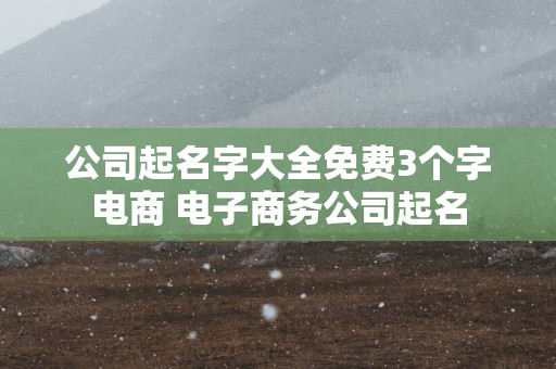 公司起名字大全免费3个字电商 电子商务公司起名
