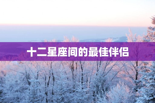 十二星座间的最佳伴侣