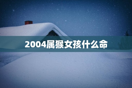 2004属猴女孩什么命