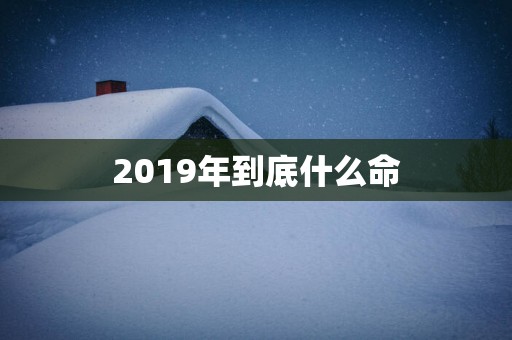 2019年到底什么命