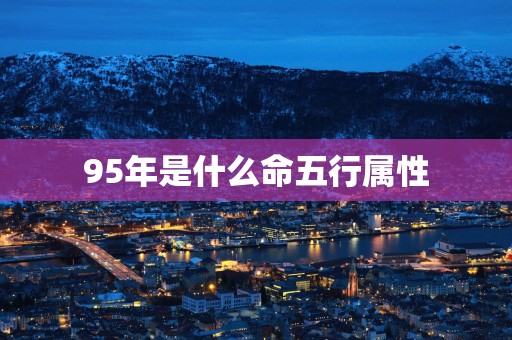 95年是什么命五行属性