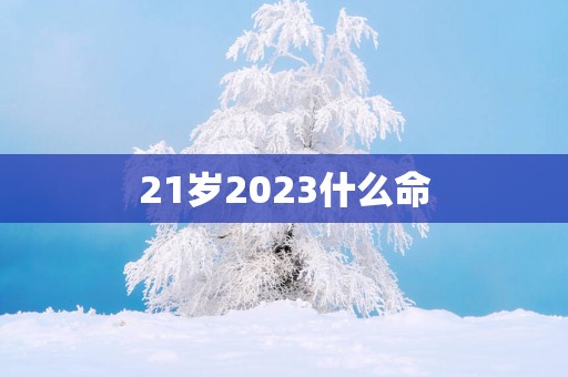 21岁2025什么命