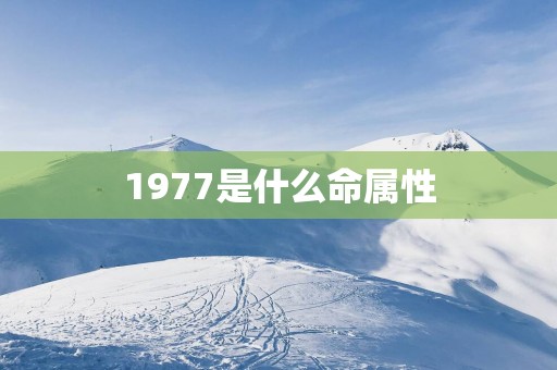 1977是什么命属性