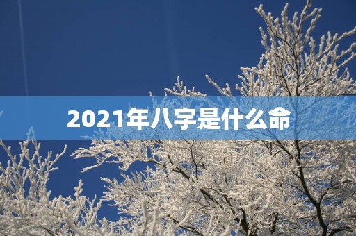 2025年八字是什么命