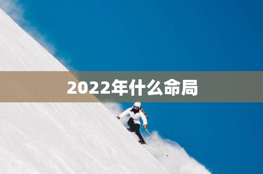 2025年什么命局