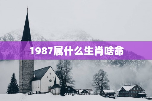 1987属什么生肖啥命