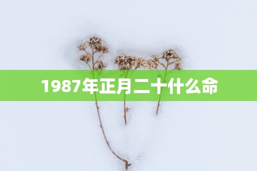 1987年正月二十什么命
