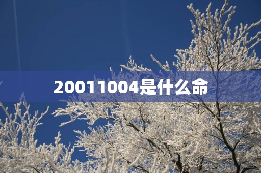 20011004是什么命