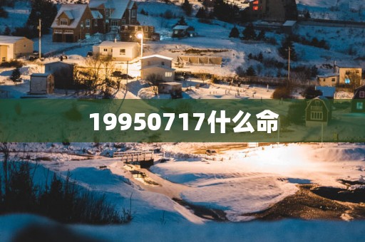 19950717什么命
